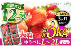 《4月より発送開始》 【3回定期便】 大粒いちご L〜2L ゆうべに 3kg（12pc）【熊本ベリー】 [ZER027]