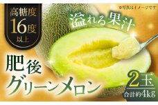 【先行予約】【数量限定】肥後グリーンメロン　約4kg(2玉入)【日本フルーツ株式会社】 [ZFJ004]