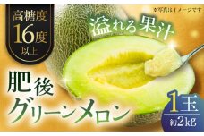 【先行予約】【数量限定】肥後グリーンメロン　約2kg(1玉入)【日本フルーツ株式会社】 [ZFJ005]