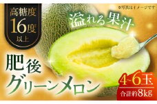 【先行予約】【数量限定】肥後グリーンメロン　約8kg(4〜6玉入)【日本フルーツ株式会社】 [ZFJ006]