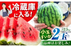 【先行予約】【数量限定】小玉スイカ 3L以上 2玉入り 約2.5kg 【日本フルーツ株式会社】 [ZFJ007]