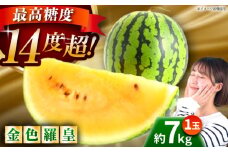 【先行予約】【数量限定】金色羅皇 スイカ 2L以上 1玉 約7kg 【日本フルーツ株式会社】 [ZFJ008]