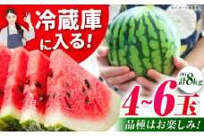 【先行予約】【数量限定】小玉スイカ 3L〜M　4〜6玉入り 約8kg 【日本フルーツ株式会社】 [ZFJ012]