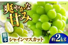 【先行予約】シャインマスカット 約2kg【日本フルーツ株式会社】 [ZFJ010]