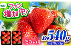 【先行予約】こば農園のこだわりいちご　恋みのり 約540g（約270g：6~11粒×2パック） 【合同会社 こば農園】 [ZFO001]