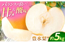 【先行予約】【数量限定】豊水梨　約5kg 【日本フルーツ株式会社】 [ZFJ013]