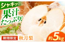 【先行予約】【数量限定】秋月梨　約5kg 【日本フルーツ株式会社】 [ZFJ015]