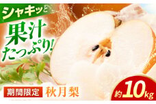 【先行予約】【数量限定】秋月梨　約10kg 【日本フルーツ株式会社】 [ZFJ016]