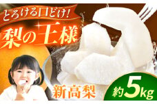 【先行予約】【数量限定】新高梨　約5kg 【日本フルーツ株式会社】 [ZFJ017]