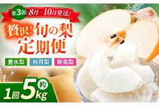 【先行予約】【数量限定】【3回定期便】 梨 約5kg 計約15kg（豊水・秋月・新高）【日本フルーツ株式会社】 [ZFJ024]