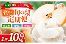 【先行予約】【数量限定】【3回定期便】 梨 約10kg 計約30kg（豊水・秋月・新高）【日本フルーツ株式会社】 [ZFJ025]