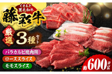 くまもと黒毛和牛「藤彩牛」厳選3種の食べ比べ計600g 3901【有限会社 スイートサプライなかぞの】 [ZDT130]