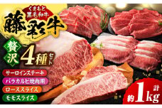 くまもと黒毛和牛「藤彩牛」厳選4種の贅沢セット 3904【有限会社 スイートサプライなかぞの】 [ZDT142]