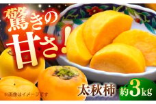 【先行予約】【数量限定】太秋柿 約3kg 【日本フルーツ株式会社】 [ZFJ020]