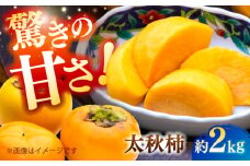 【先行予約】【数量限定】太秋柿 約2kg【日本フルーツ株式会社】 [ZFJ021]