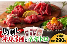 【熊本特産】赤身馬刺し3種とネギトロの詰め合わせ 3891【有限会社スイートサプライなかぞの】 [ZDT157]