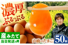 たまご 50個 約3kg【マツヤマエッグファーム】 [ZAW005]