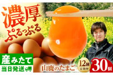 【全12回定期便】 たまご 30個 約2kg【マツヤマエッグファーム】 [ZAW008]