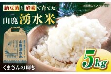 【先行予約】《2025年10月より順次発送》 こば農園のお米 くまさんの輝き 『山鹿湧水米』 白米 5kg 【合同会社 こば農園】 [ZFO002]
