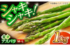 【先行予約】 【数量限定】 山鹿の恵み アスパラガス 夏芽　M〜Lサイズ 1kg【本田仁】 [ZFN001]
