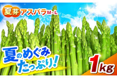 【先行予約】 【数量限定】山鹿市産 いけだ農園のアスパラガス 夏芽(M~Lサイズ)　1kg【いけだ農園】 [ZFP001]