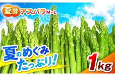【先行予約】 【数量限定】山鹿市産 いけだ農園のアスパラガス 夏芽(M~Lサイズ)　1kg【いけだ農園】 [ZFP001]