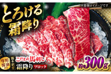 こだわりの馬刺し 霜降りブロック 約300g(約150g×2ブロック) 馬刺し醤油付き 【フードサービス むらかみ】 [ZFE002]