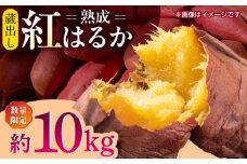 【数量限定】【先行予約】蔵出し 熟成 紅はるか さつまいも 約10kg サイズバラバラ 密 芋 【合同会社 福福堂】 [ZCN019]