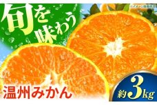 【先行予約】 温州みかん 3kg 極早生 早生 中生 晩生 みかん 【池田農園】 [ZEX005]