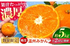 【先行予約】【全2回定期便】 数量限定 晩生 温州みかん 約5kg みかん 【池田農園】 [ZEX008]