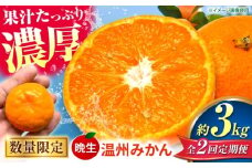 【先行予約】【全2回定期便】 数量限定 晩生 温州みかん 約3kg みかん 【池田農園】 [ZEX009]