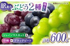 【訳あり】こば農園 種なし ぶどう 2種食べ比べセット 計約600g （ シャインマスカット & 巨峰 or ブラックビート）【合同会社 こば農園】 [ZFO004]