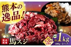 【全3回定期便】馬スジ 1kg (　500g × ２ ) 【合同会社　長岡フーズ】 [ZFR026]