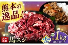 【全6回定期便】馬スジ 1kg (　500g × ２ ) 【合同会社　長岡フーズ】 [ZFR027]