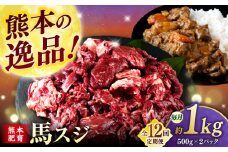 【全12回定期便】馬スジ 1kg (　500g × ２ ) 【合同会社　長岡フーズ】 [ZFR028]