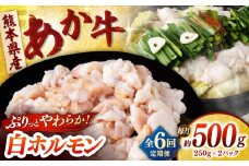 【全6回定期便】あか牛 白 ホルモン 500g (250g×2P) 【合同会社　長岡フーズ】 [ZFR051]