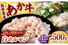 【全12回定期便】あか牛 白 ホルモン 500g (250g×2P) 【合同会社　長岡フーズ】 [ZFR052]