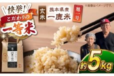 【先行予約】 【天日塩を使用】一鹿米 旭一号 米 玄米 5kg【株式会社 夢アグリ】 [ZCL015]