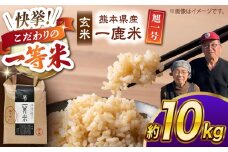 【先行予約】 【天日塩を使用】一鹿米 旭一号 米 玄米 10kg【株式会社 夢アグリ】 [ZCL017]