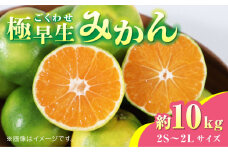 【先行予約】極早生みかん 約10kg　2S～2Lサイズ　【くまふる】 [ZBG054]