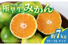 【先行予約】極早生みかん 約7kg　2S～2Lサイズ　【くまふる】 [ZBG055]