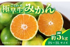 【先行予約】極早生みかん 約5kg　2S～2Lサイズ　【くまふる】 [ZBG057]