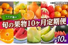 フルーツ10ヶ月定期便　【10月～7月】　【くまふる】 [ZBG078]
