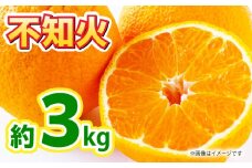 【先行予約】不知火 約3kg 【くまふる】 [ZBG080]