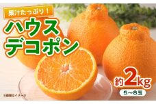 ハウスデコポン　約2kg 【くまふる】 [ZBG081]