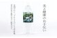 シリカ水 計12L（500ml×24本）シリカ 水 ペットボトル メロンドーム