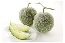 肥後グリーン メロン 2玉 果物 フルーツ 養生市場 《5月中旬-6月末頃出荷》