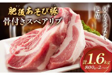 肥後あそび豚 骨付き スペアリブ 800g×2パック 合計1.6kg 株式会社さつま屋産業 《90日以内に出荷予定(土日祝除く)》 ぶた ブタ 豚肉 肉 ブランド豚 骨付き肉 スペアリブ 国産 九州産 熊本県産 菊池市産 冷凍 送料無料