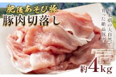 肥後あそび豚切落し 4kg 株式会社さつま屋産業 《90日以内に出荷予定(土日祝除く)》 ぶた ブタ 豚肉 肉 ブランド豚 切り落とし 国産 九州産 熊本県産 菊池市産 冷凍 送料無料