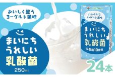 常温保存可能 まいにちうれしい 乳酸菌 ヨーグルト風味 250ml×24本 合同会社たべたせいか《30日以内に出荷予定(土日祝除く)》熊本県 菊池市 紙パック ヨーグルト飲料 乳酸菌 ドリンク 飲み物 飲料 常温保存 国産 熊本県産